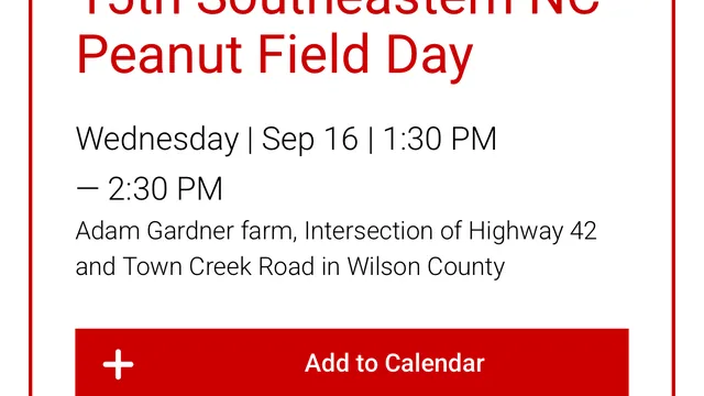 Field Day