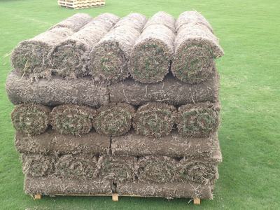 stack of rolled sod