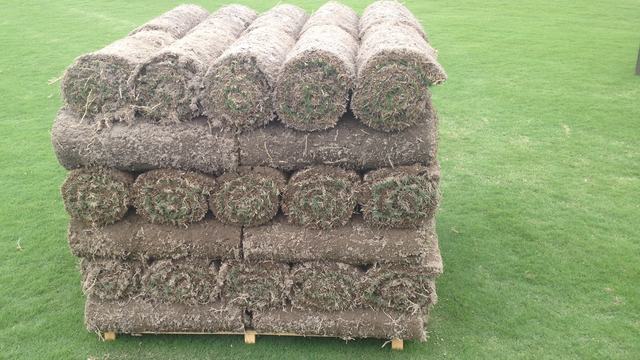stack of rolled sod
