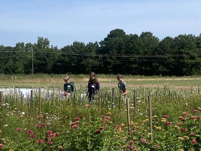 Flower Field Trip to Trask family Family Farms