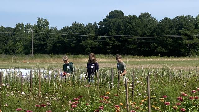Flower Field Trip to Trask family Family Farms
