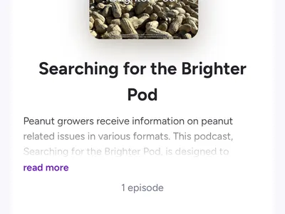 Searching for Brighter Pod Podcast