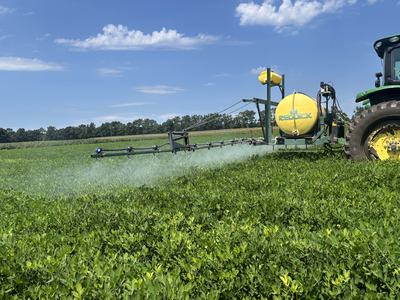 Sprayer applying fungicide to protect peanuts from disease.