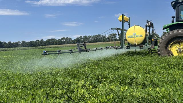 Sprayer applying fungicide to protect peanuts from disease.