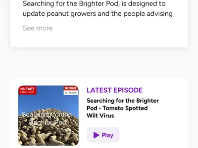 Screenshot of podcast site associated with Searching for the Brighter Pod