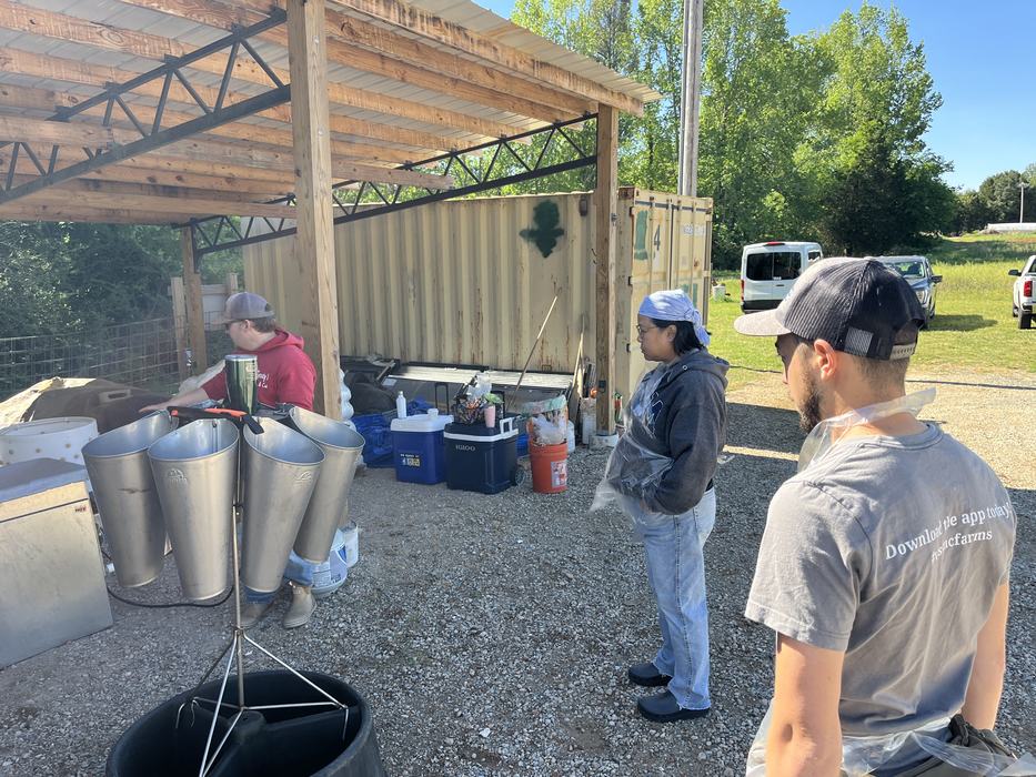Extension staff and volunteers preparing for processing