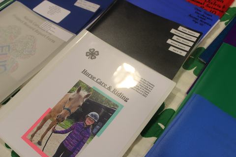 Project Records Henderson