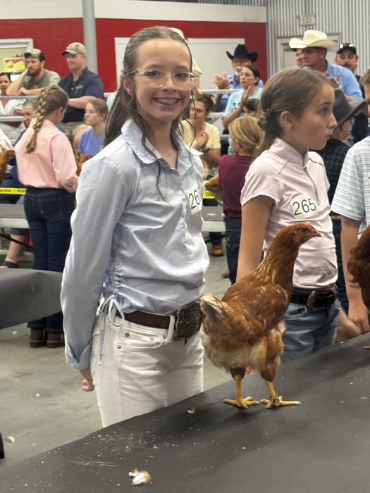 girl holding chicken