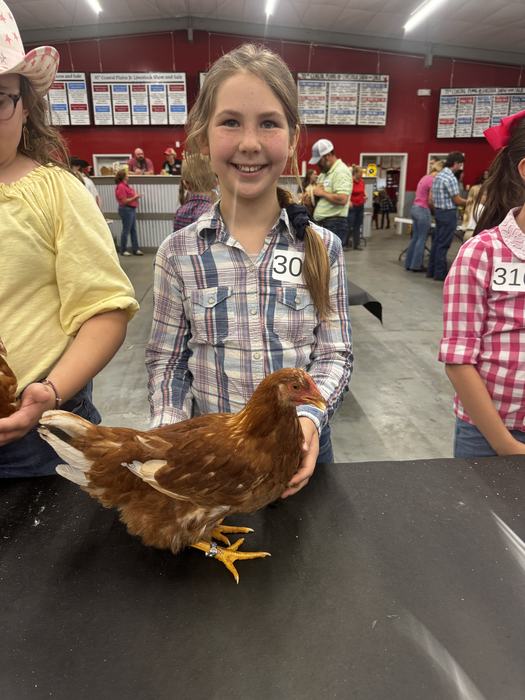 girl holding chicken