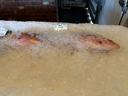 Vermilion snapper on ice.