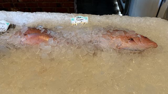 Vermilion snapper on ice.