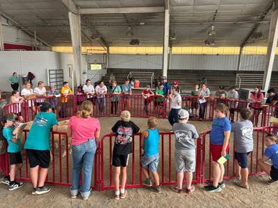 Judging Practice