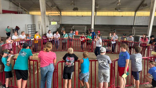 Judging Practice