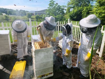 Extension volunteers at the bee hives