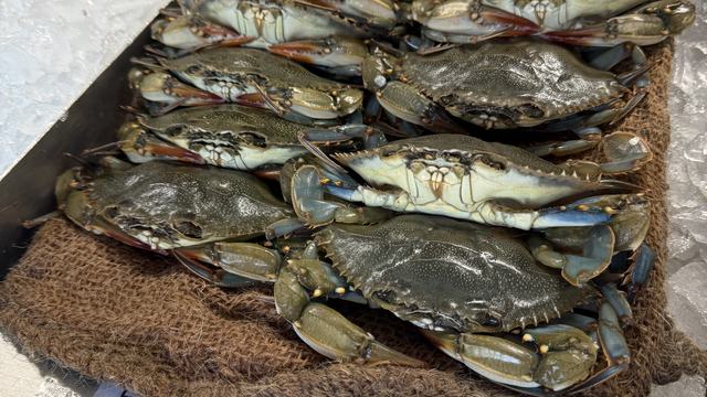soft-shell crabs at market