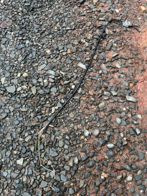 A photograph of copper transmission lines that have come to the surface of a gravel road in unincorporated Cherokee County North Carolina, west of Murphy.