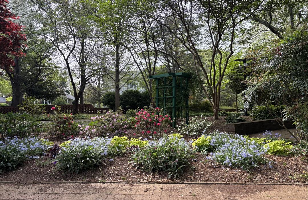 Flowers in the Jonas Library Garden as seen in Early April