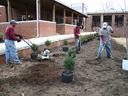 planting long bed