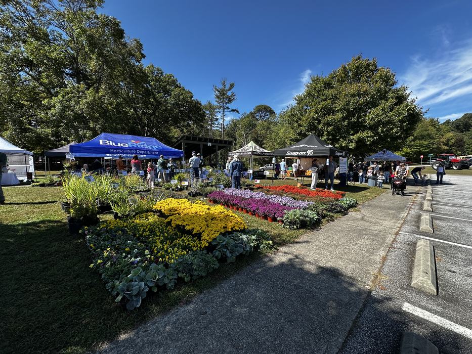An outdoor plant sale features colorful potted flowers and tents under a clear blue sky.