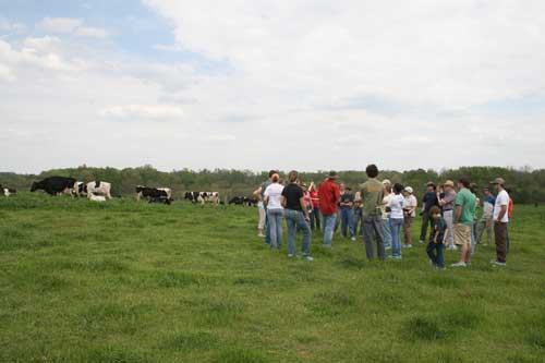 Group of people standing in a pasture observing grazing cows