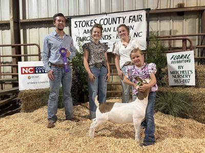 Grand Champion Market Goat Stokes County Fair