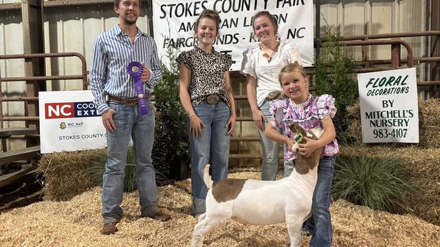 Grand Champion Market Goat Stokes County Fair