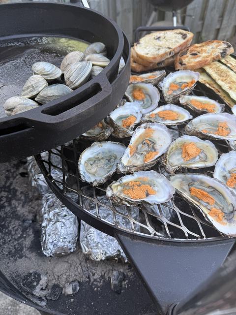Oysters and clams cooking on a grill grate.