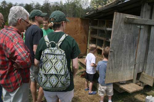 2016 Bermudagrass samples by month