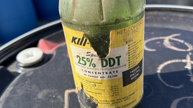 DDT expired pesticide collected in green bottle at a pesticide disposal event.