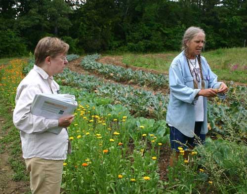 Perry-winkle Farm photo 5