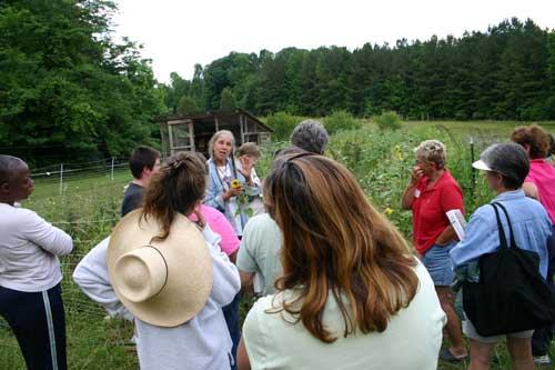 Perry-winkle Farm photo 6