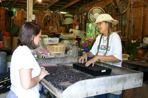 filling trays with soil mix