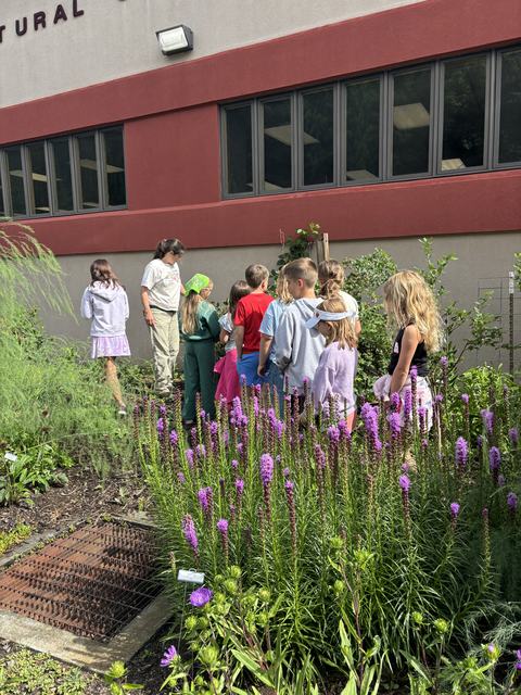 Touring the Extension Master Gardener Educational Gardens