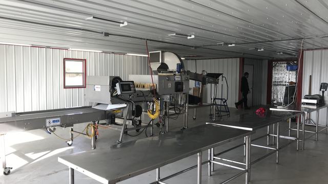 blueberry packing house