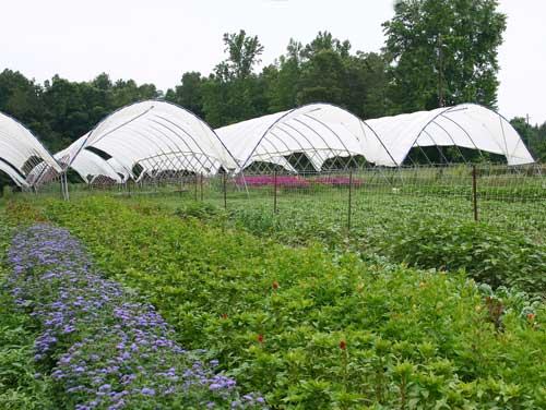 Alex & Betsy Hitt Win National SARE Sustainable Agriculture Award