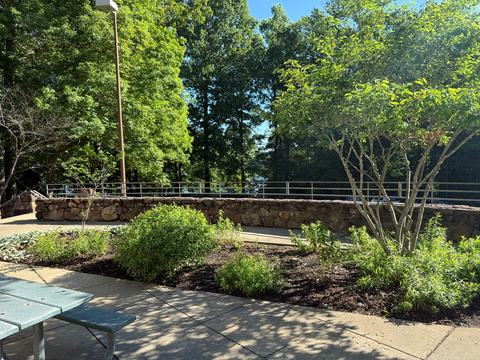One of the three garden beds, April 2025