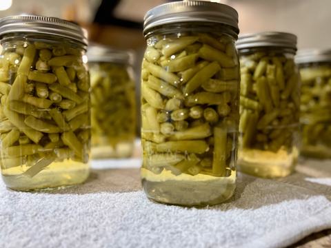 Freshly canned green beans in quart jars