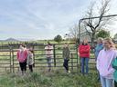 Students, parents, and livestock agent Ms. Kristi standing in a fenced livestock area during a 4-H dairy project visit