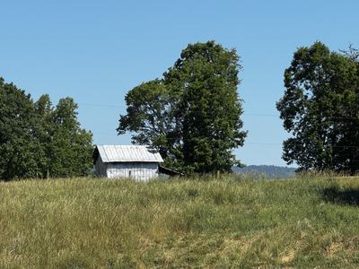 Photo of a dry hayfield, with an old tobacco barn in the background