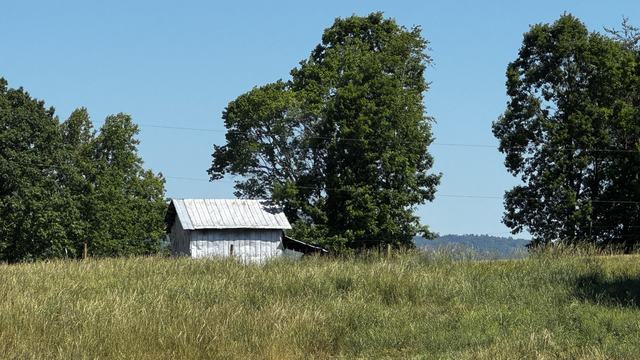 Photo of a dry hayfield, with an old tobacco barn in the background