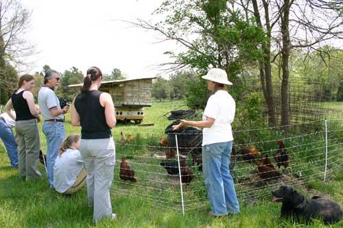 Perry-winkle Farm photo 9