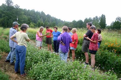 Perry-winkle Farm photo 7
