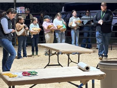 The 4h volunteer is helping at a chicken show with 4h children.