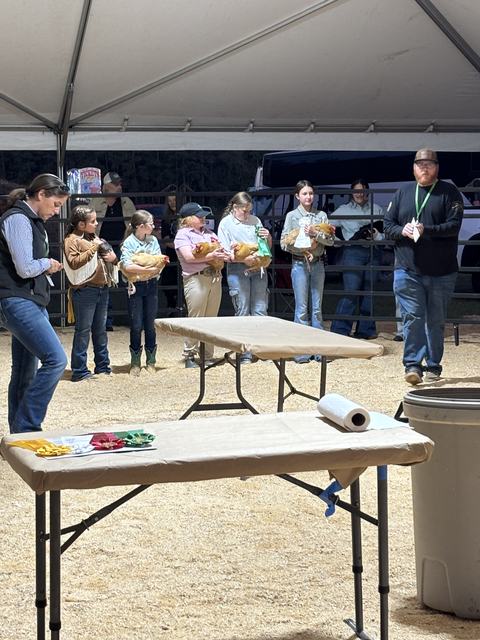 The 4h volunteer is helping at a chicken show with 4h children.