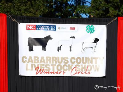 Cabarrus County Livestock Show Winners Circle
