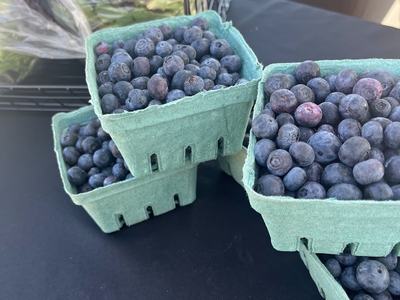 pints of blueberries