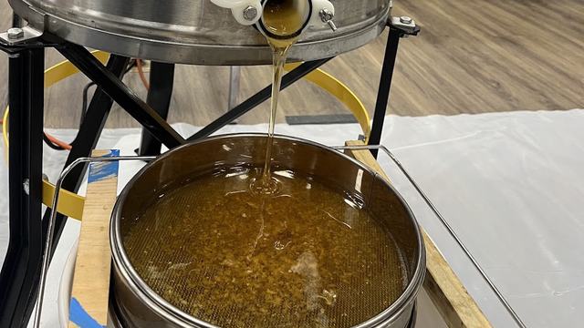fresh harvested honey