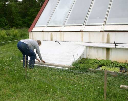 cold frame