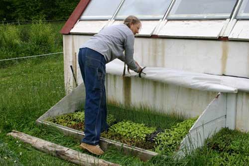 cold frame