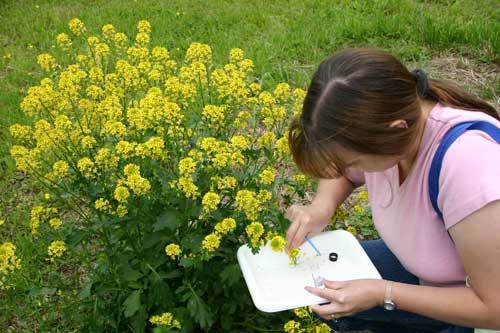 Perry-winkle Farm photo 22